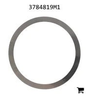 AGCO 3784819M1 Шайба