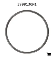 AGCO 3900130M1 Кольцо