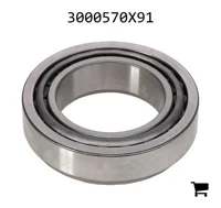 AGCO 3000570X91 Роликовый подшипник