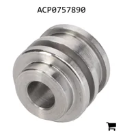 AGCO ACP0757890 Поршень