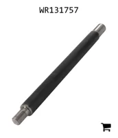 AGCO WR131757 Шток цилиндра