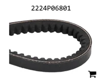 AGCO 2224P06801 Клиновой ремень
