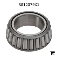 AGCO 3012079X1 Конус подшипника