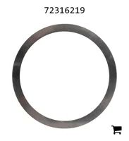 AGCO 72316219 Регулировочная шайба