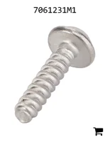 AGCO 7061231M1 Винт