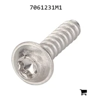 AGCO 7061231M1 Винт