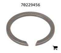 AGCO 70229456 Кольцо