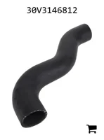AGCO 30V3146812 Шланг