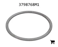 AGCO 3798768M1 Шайба