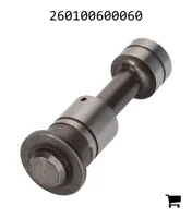 AGCO 260100600060 Поршень