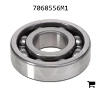 AGCO 7068556M1 Шариковый подшипник