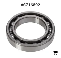 AGCO AG716892 Подшипник