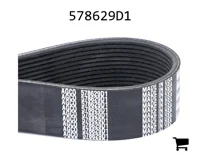 AGCO 578629D1 Поликлиновой ремень, профиль PK12