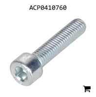 AGCO ACP0410760 Винт