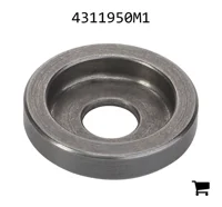 AGCO 4311950M1 Шайба