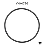 AGCO VKH4790 Уплотнительное кольцо