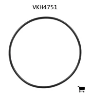 AGCO VKH4751 Уплотнительное кольцо гидравлического фильтра