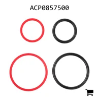 AGCO ACP0857500 Ремкомплект