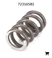 AGCO 72316501 Пружина