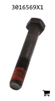 AGCO 3016569X1 Болт с шестигранной головкой