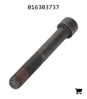 AGCO 016303737 Винт