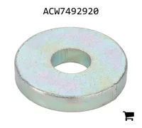 AGCO ACW7492920 Специальная шайба