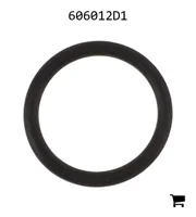 AGCO 606012D1 Уплотнительное кольцо