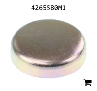 AGCO 4265580M1 Уплотнительная манжета