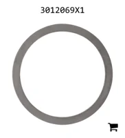 AGCO 3012069X1 Регулировочная шайба