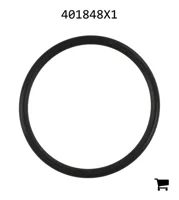 AGCO 401848X1 Уплотнительное кольцо