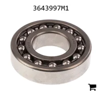 AGCO 3643997M1 Опора