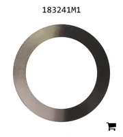 AGCO 183241M1 Шайба