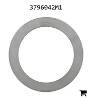 AGCO 3796042M1 Шайба