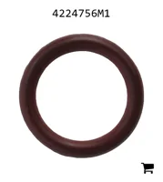 AGCO 4224756M1 Уплотнительное кольцо