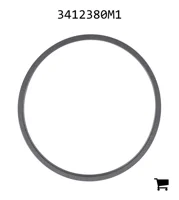 AGCO 3412380M1 Кольцо