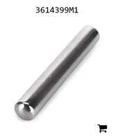 AGCO 3614399M1 Игла