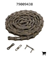 AGCO 79009438 Роликовая цепь с двойным шагом, A2050, 10'