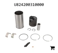 AGCO U824200310000 Ремонтный комплект