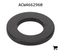 AGCO ACW4662960 Плоская шайба