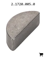 AGCO 2.1720.005.0 Шпонка