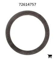 AGCO 72614757 Шайба