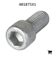 AGCO 401875X1 Болт с шестигранной головкой