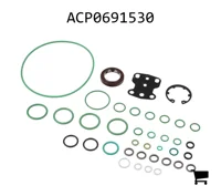 AGCO ACP0691530 Ремонтный комплект насоса