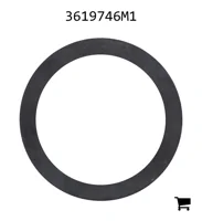 AGCO 3619746M1 Прокладка