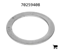 AGCO 70259408 Шайба