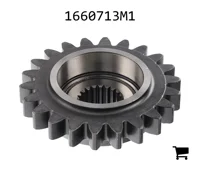 AGCO 1660713M1 Шестерня