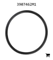 AGCO 3907462M1 Уплотнительное кольцо хомута фильтра гидравлического насоса