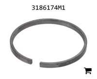 AGCO 3186174M1 Прокладка