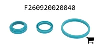 AGCO F260920020040 Ремкомплект