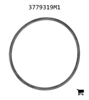 AGCO 3779319M1 Уплотнительное кольцо